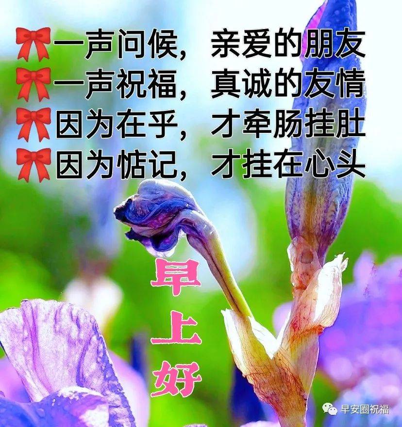 最新动态问候祝福表情包,开心快乐填健康,无忧无虑度时光!