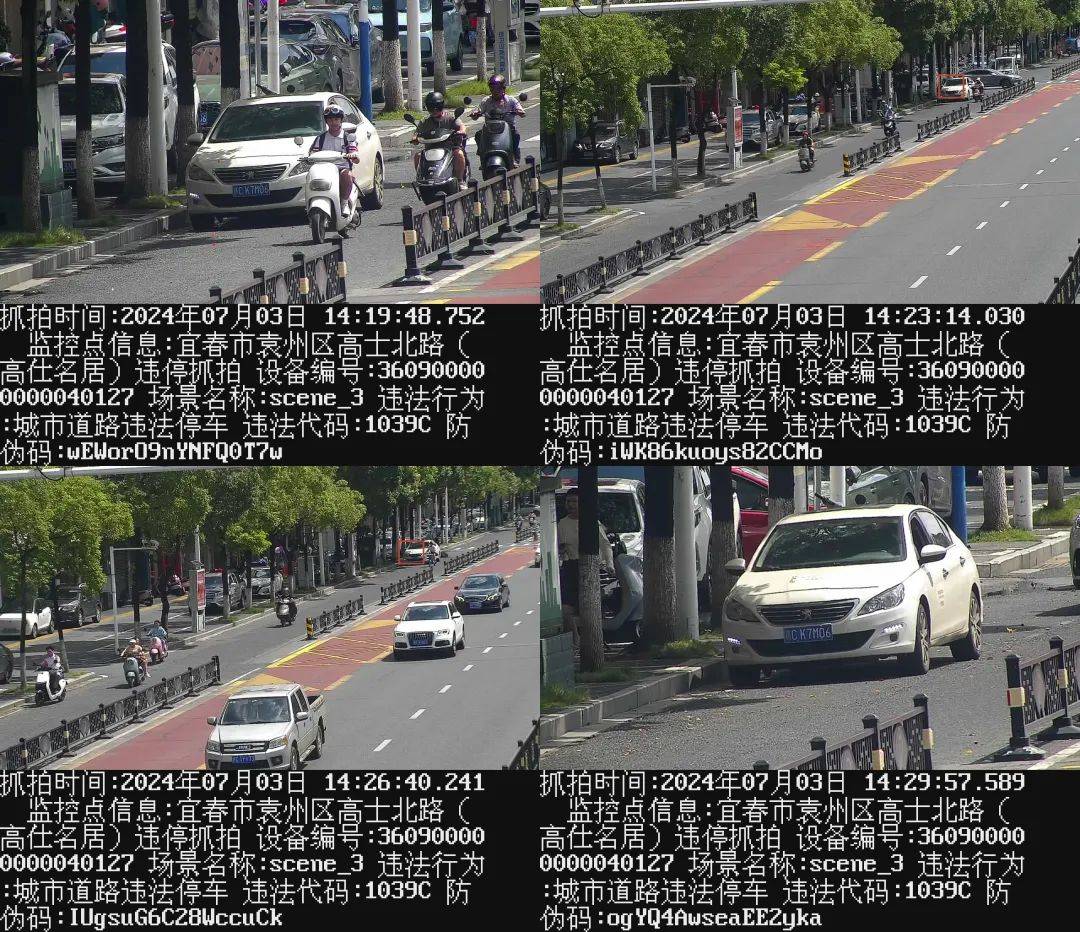 赣c48191,赣ck7m06.这些车辆违停曝光