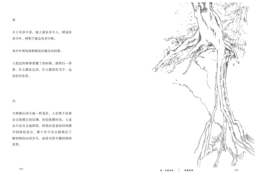 绝版多年的人生笔记再版啦"宝藏艺术家"蔡皋带我们看见生活的美