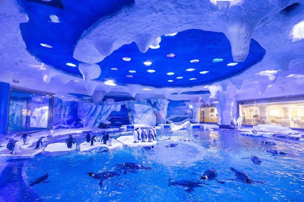 【上海金桥海昌企鹅酒店】仅需888元入住高级房1晚 两日无限次游玩