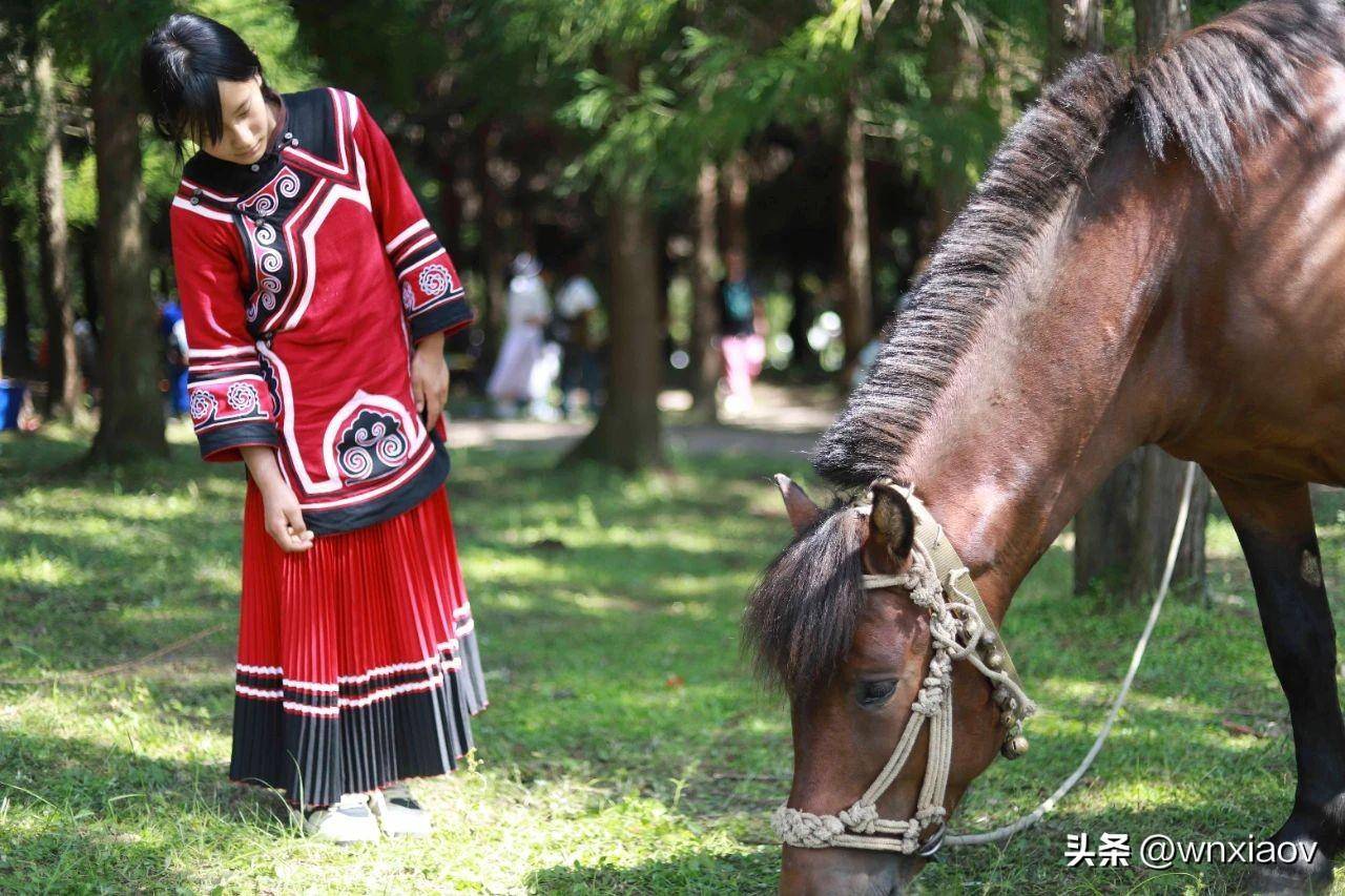 威宁火把节板底乡彝族风情寨分会场回顾