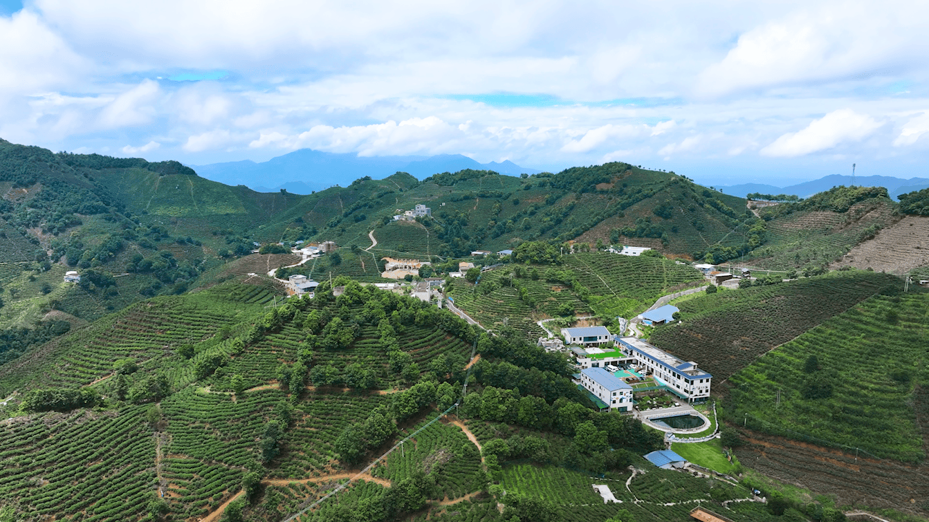 仙湖茶园旅游区国家3a级旅游景区授牌,"乐游河源"请到上莞