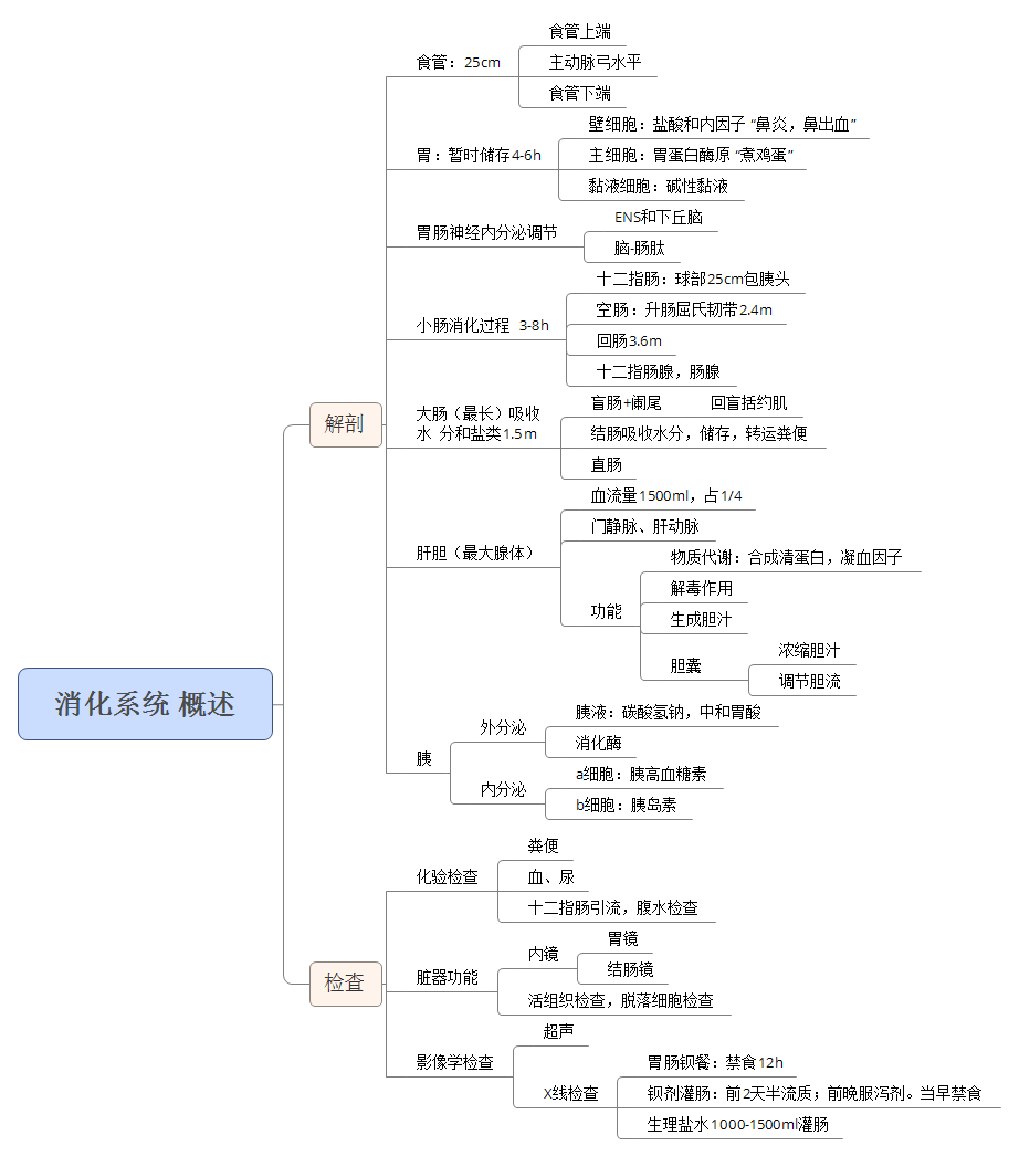 内科护理学重点知识思维导图免费领!复习省时省力,快速上岸成硕
