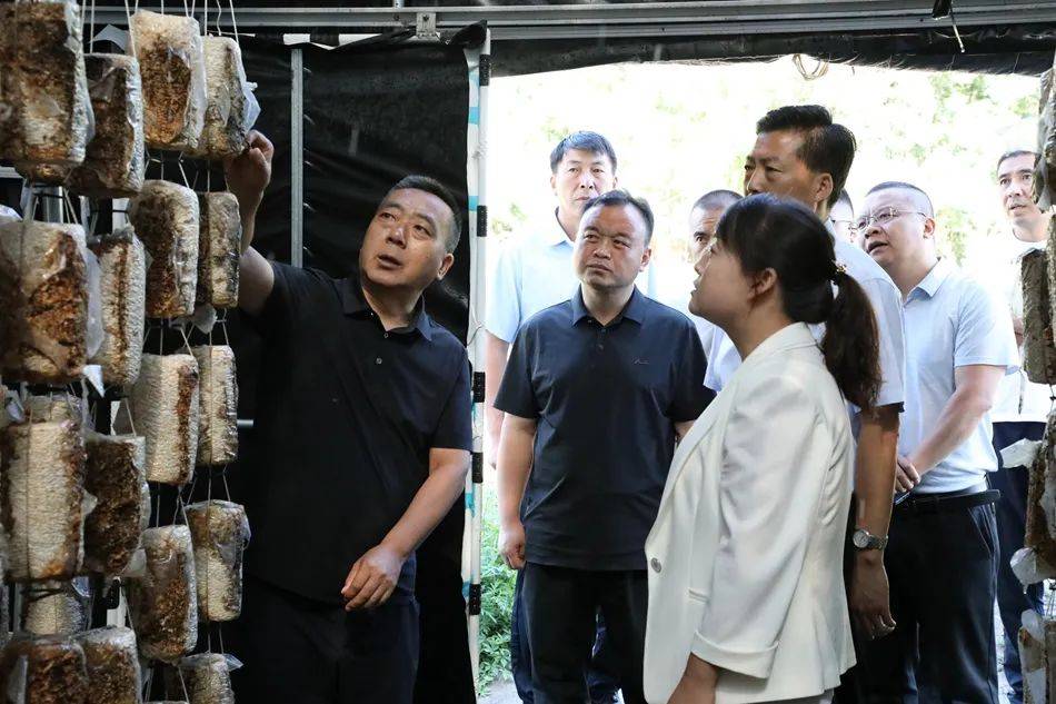 新武山讯(记者 康正东 董世雄)7月30日,县委书记王新强深入城关镇君山