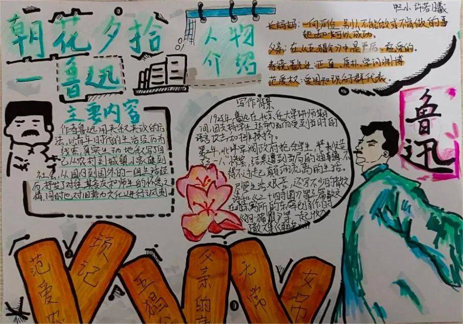 【家国"31"第2077期】小初衔接 | 不负盛夏,"暑