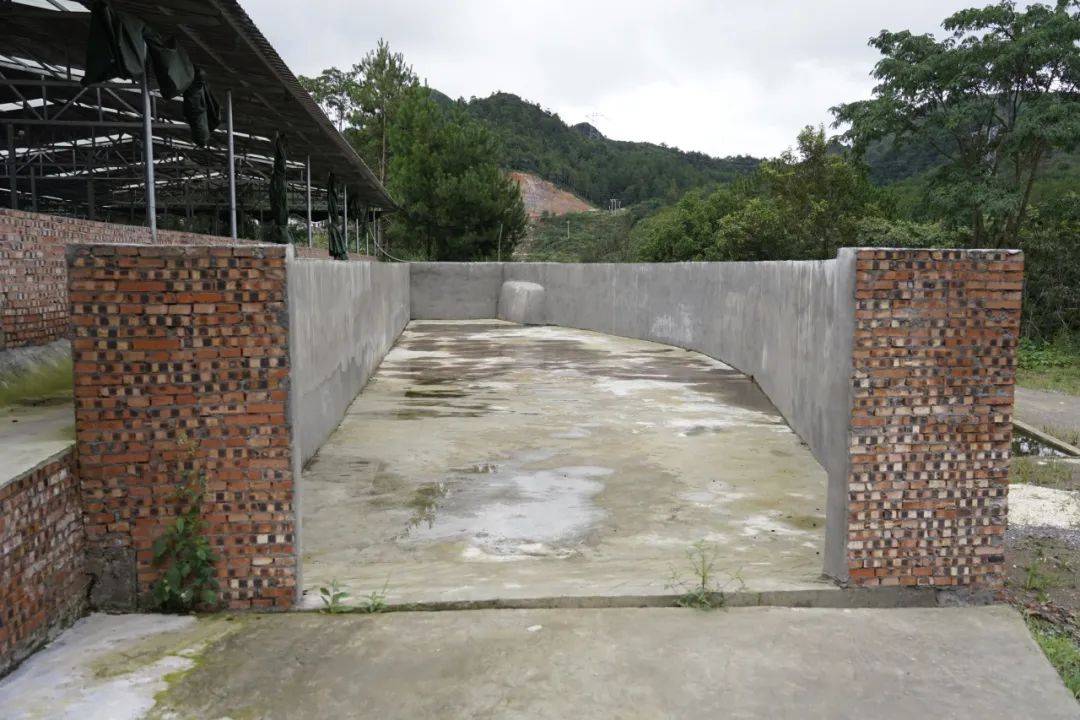 昌明镇:做强肉牛养殖产业 助力乡村振兴