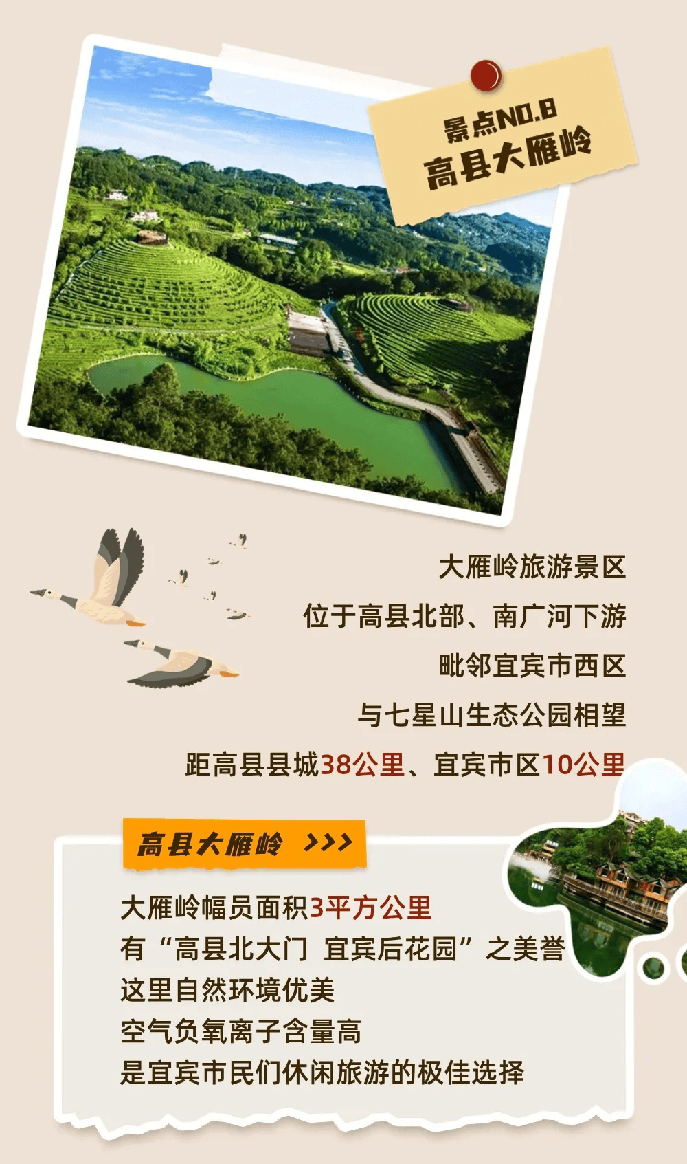 宜宾大雁岭景区电话图片