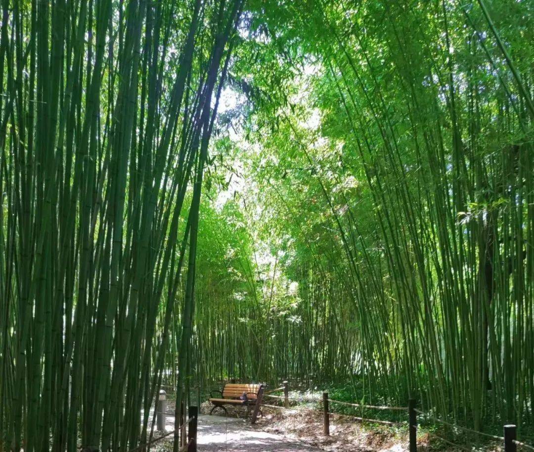 地址_公园_徐汇区