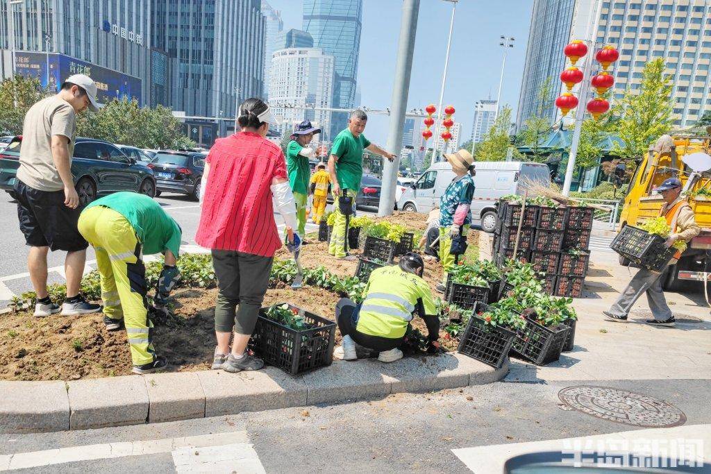 情人节花坛搬回家图片