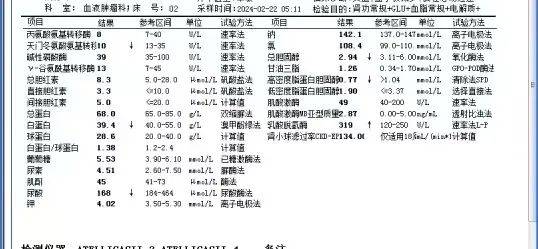 白血病血常规报告单图片