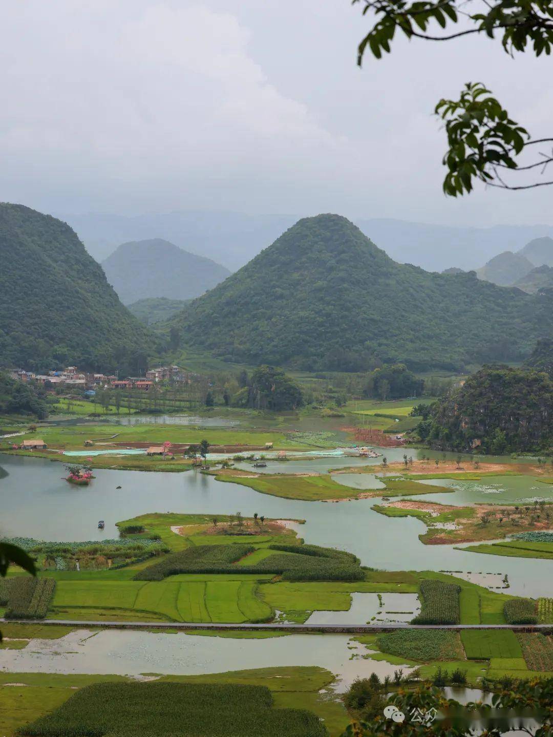 云南避暑胜地,普者黑风景优美,赏花旅拍好地方!(附详细攻略)