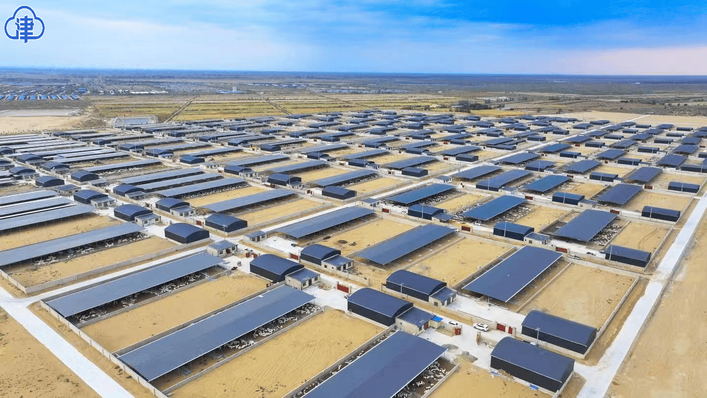 产业振兴"领头羊"!甘肃武威市古浪县增收致富促发展