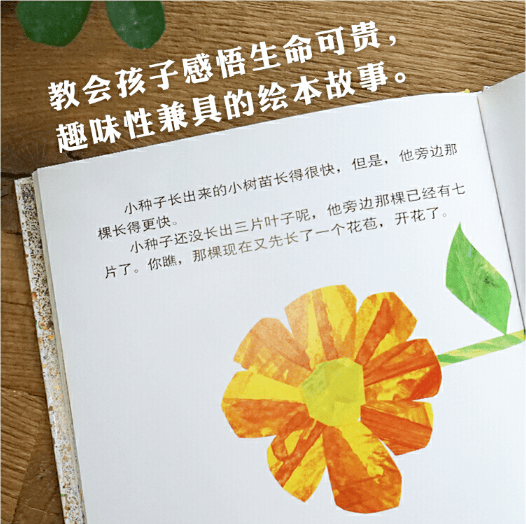 小种子一个关于生命和成长的故事,作者借由许多小种子乘风,离开果荚