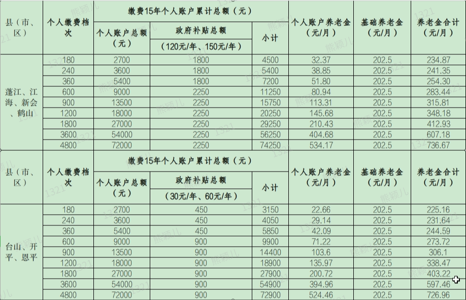 2020年社保缴费明细表图片