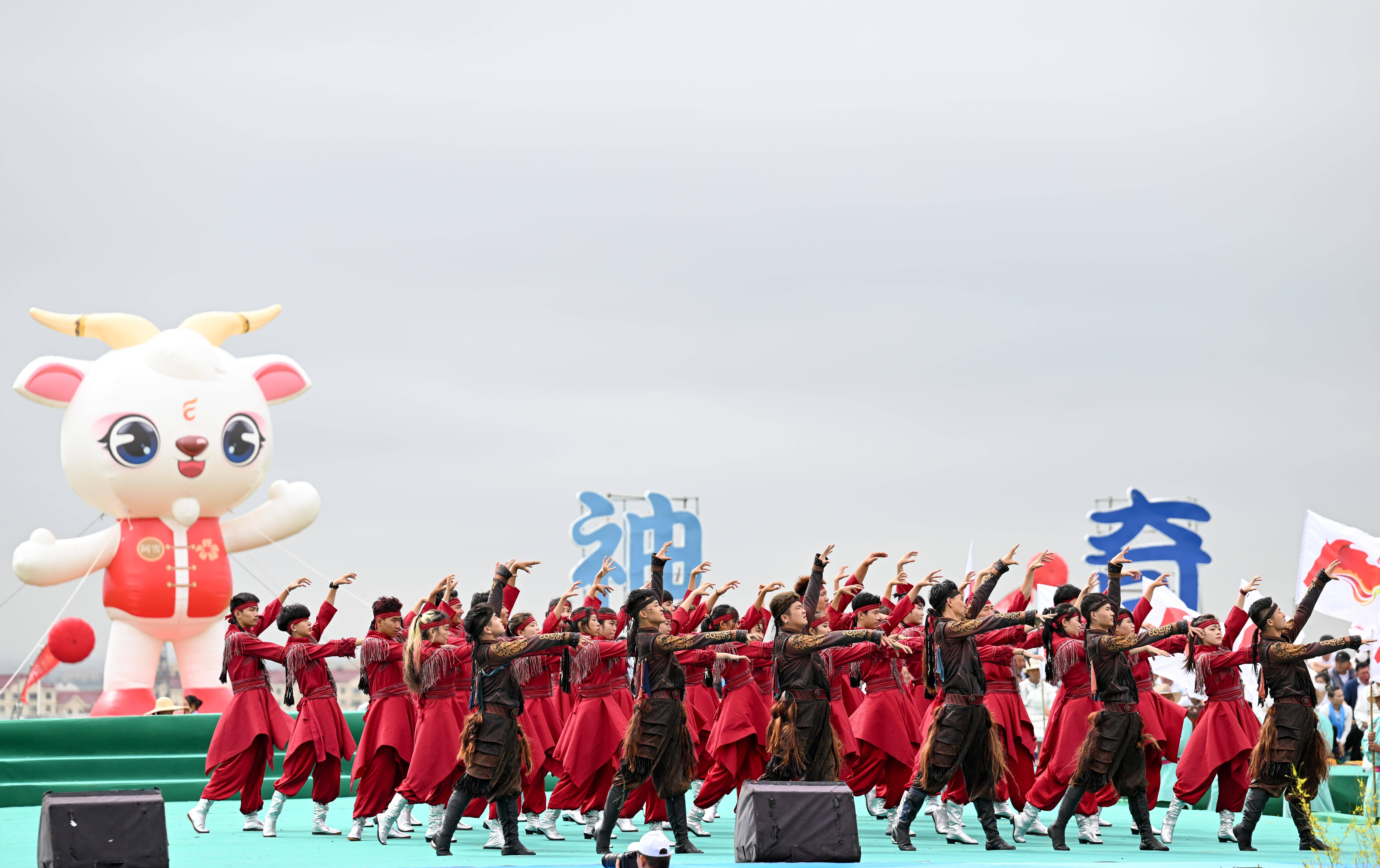 新华社记者 贝赫 摄8月8日,牧民在鄂托克旗那达慕大会上骑骆驼入场.