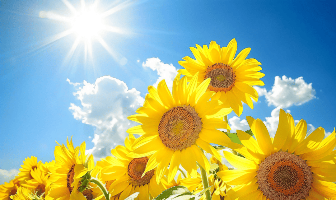 今日晴空万里明日强降水来袭