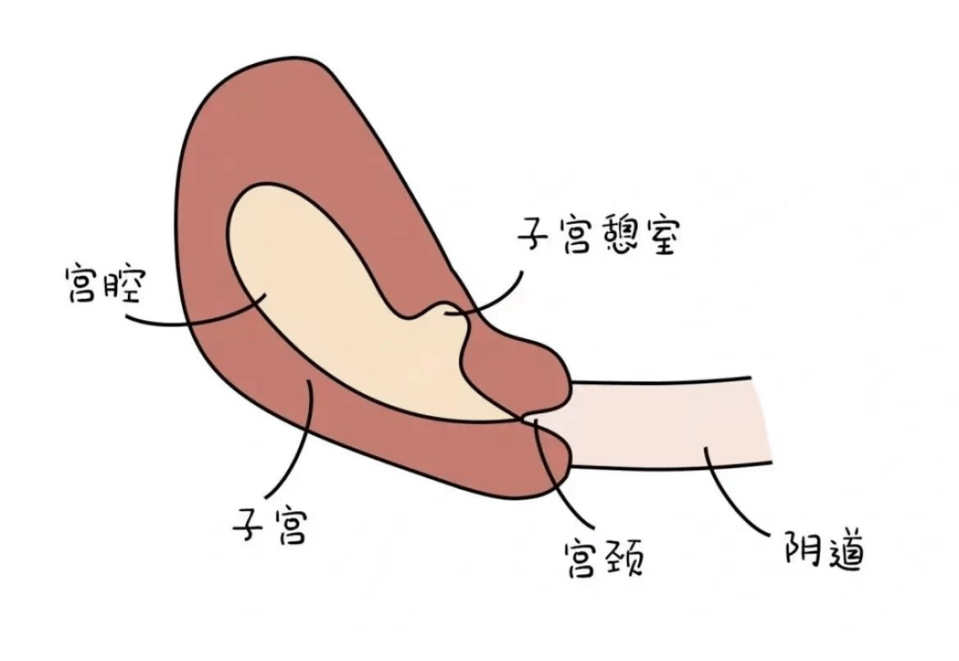 【技术分享】德化县医院:新术式解决大套房多出一