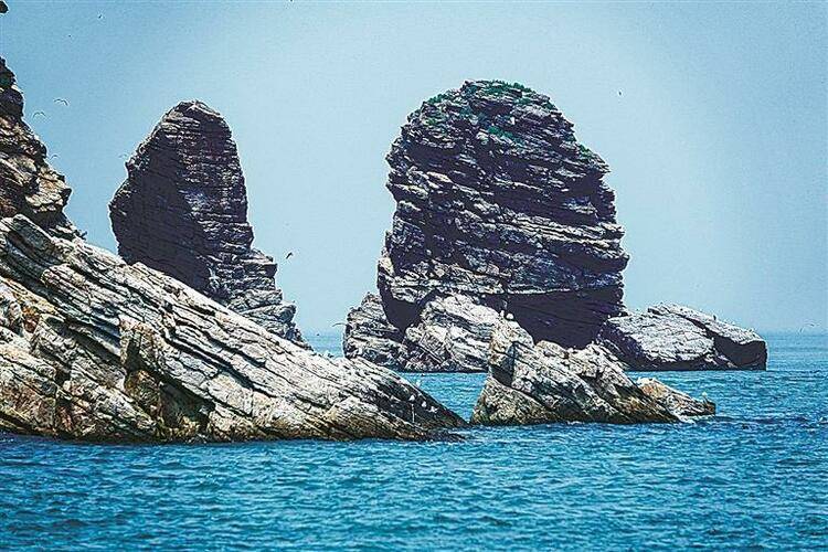 大连蛇岛-老铁山候鸟栖息地 大自然赐予的珍宝