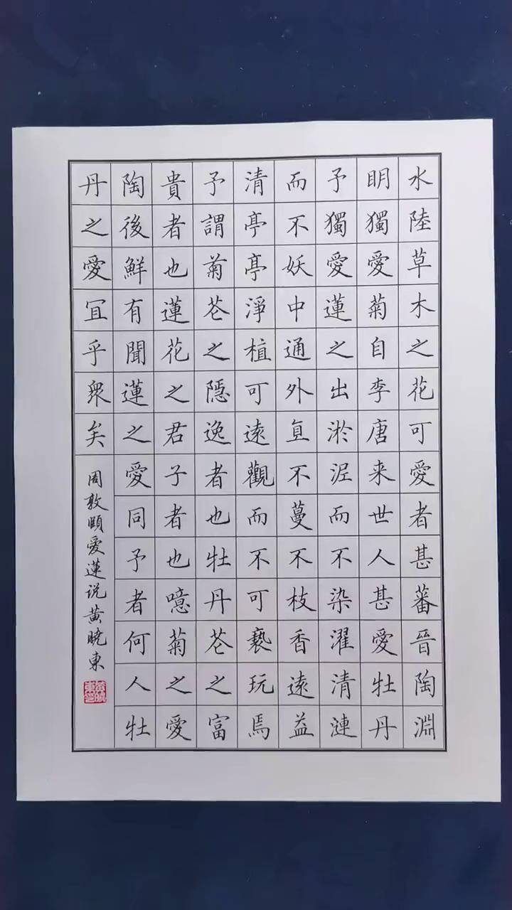 学写《爱莲说》书法 田楷 硬笔书法