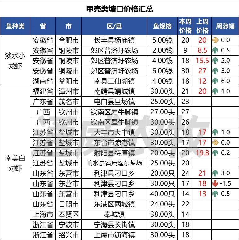 狗鱼价格图片