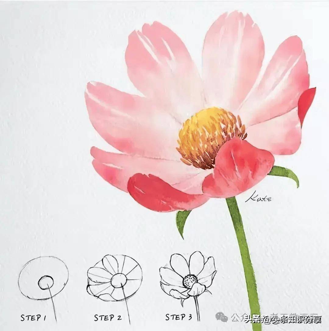 花朵怎么画更好看图片