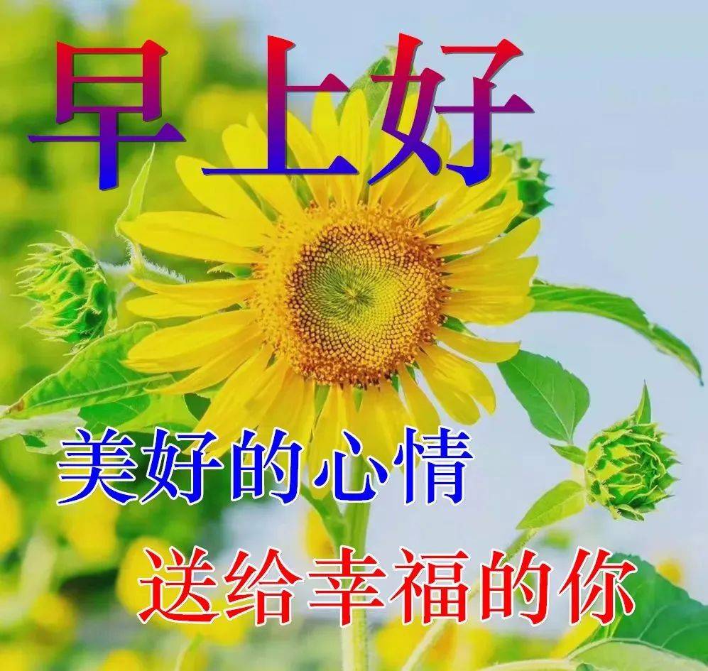 今日新版非常好看的早安图片大全,牵挂时时,祝福久久!