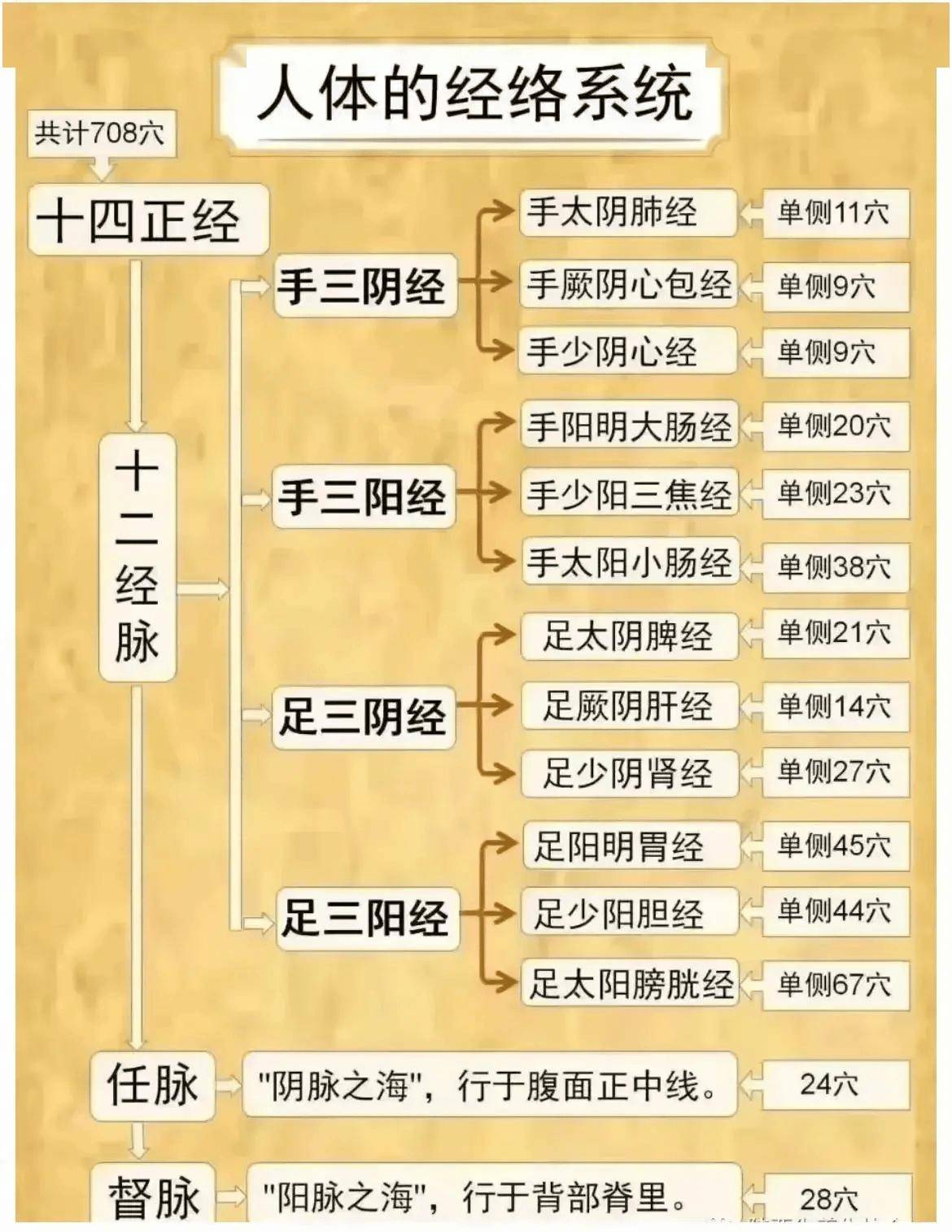 人体24条经络图片