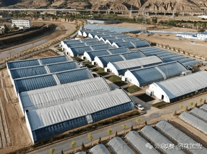 中国化学为环县木钵关营村农业插上科技"翅膀"_示范园_产业_大棚