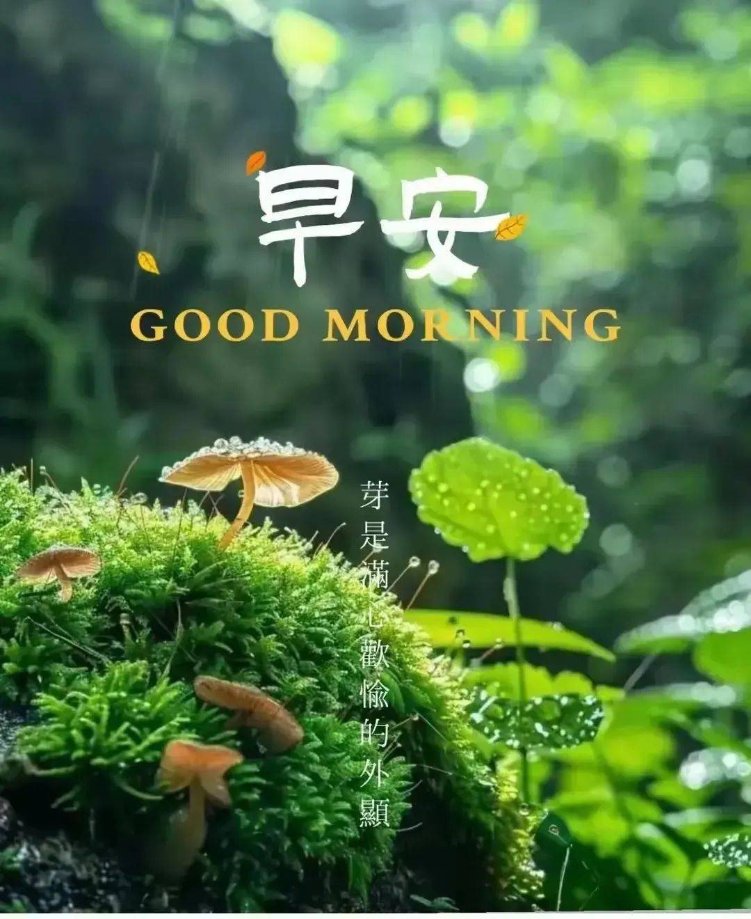 星期一早安快乐美图集锦!清晨祝福顺心如意健康快乐