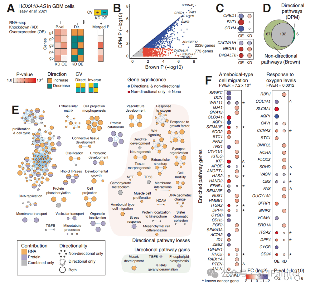 通路富集免费网站_通路富集分析图怎么看