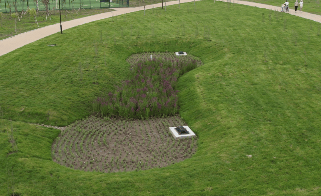 海绵城市:几许浪漫元素 几多诗意生活