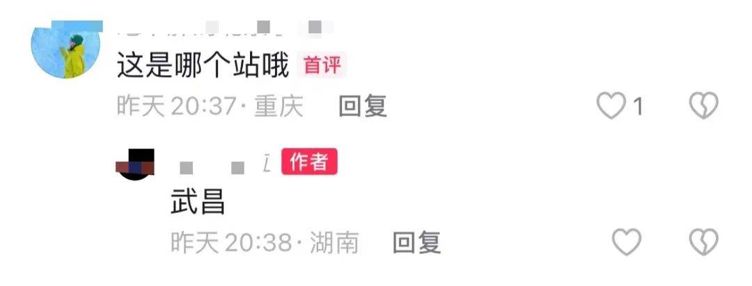 眼镜重要命重要？事发湖北武昌站，火车即将发车，女子跳入轨道捡眼镜