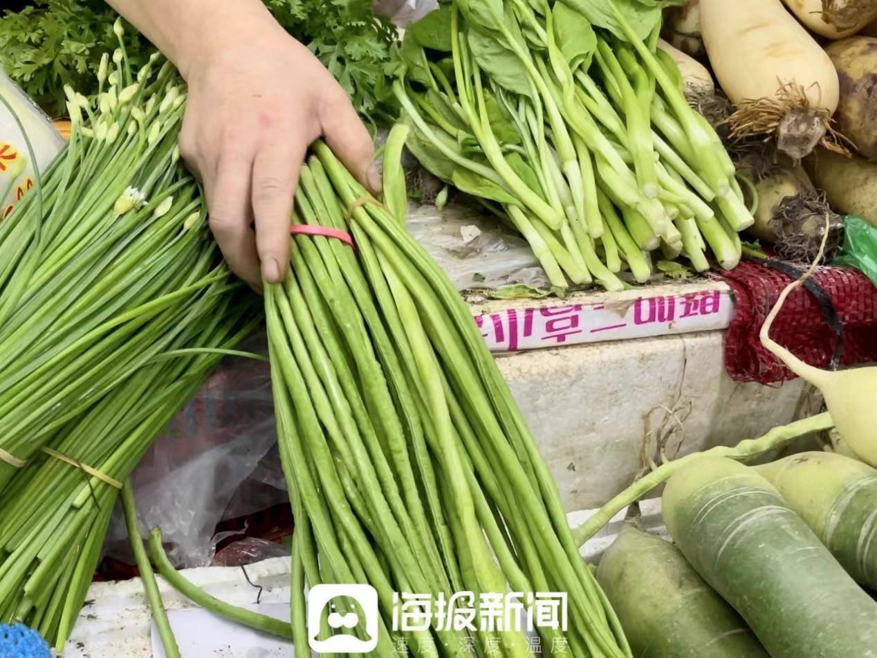 "豆橛子"实现华丽转身!_豆角_农贸市场_产地