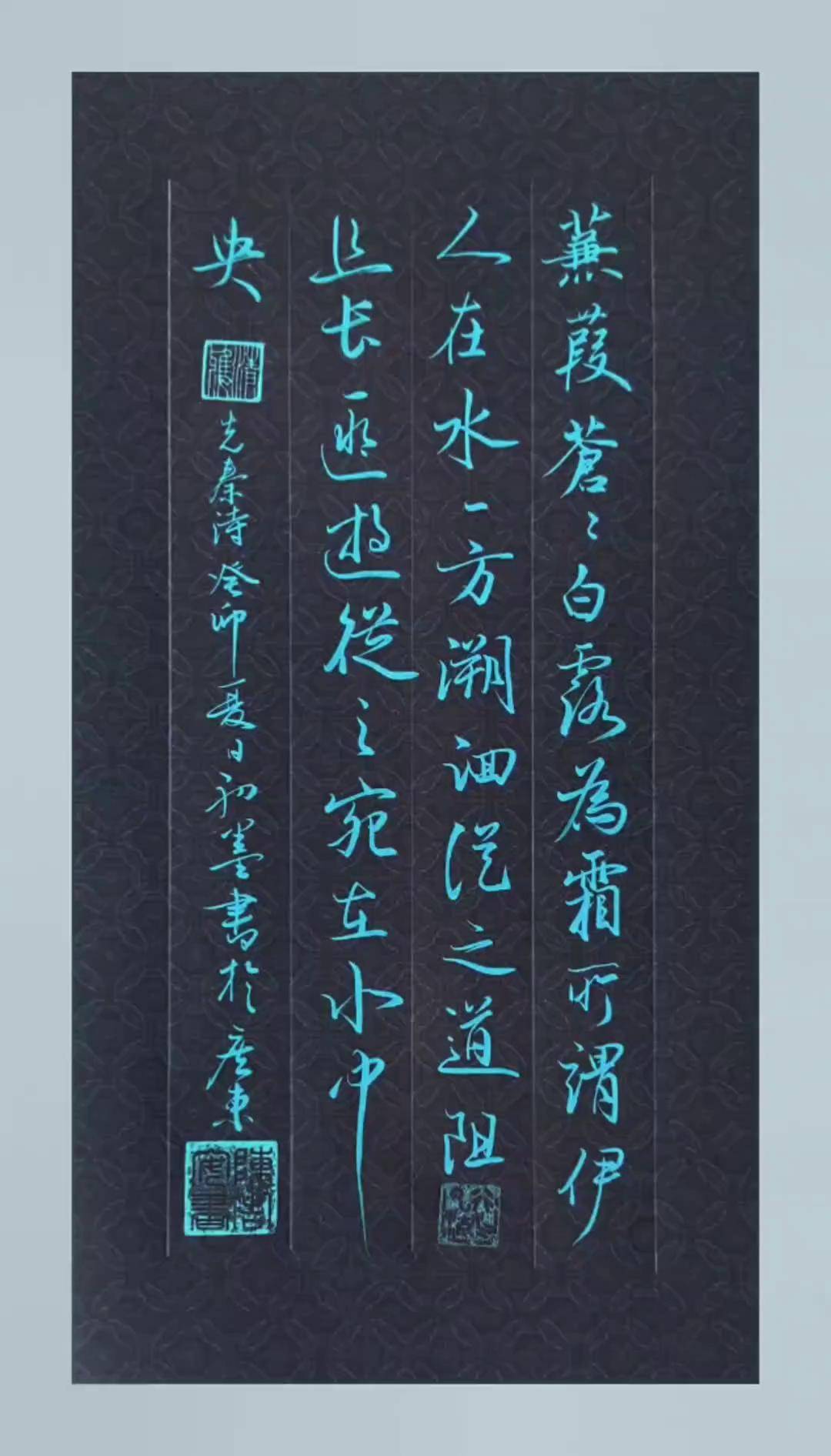 蒹葭苍苍,白露为霜,所谓伊人,在水一方