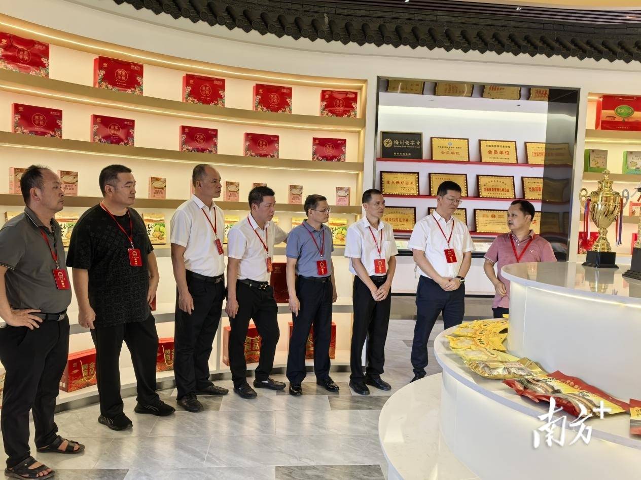 丰顺黄金镇人大:深入调研,多领域推动"百千万工程"落地见效