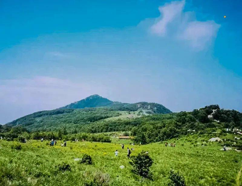 空中走廊.在白草畔的五指峰上,远眺百花山的盘山公路可谓一大景观.