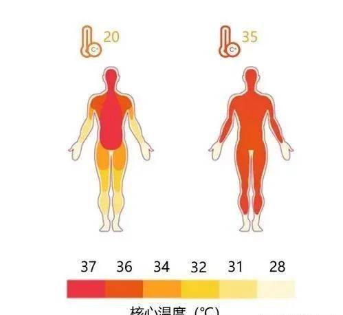 人体温度与健康图片