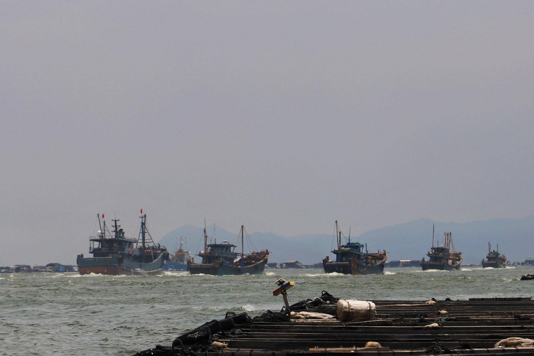 勇立"潮"头 奋勇争"鲜":潮州饶平奏响耕海牧渔序曲_渔船_周彬正_渔港