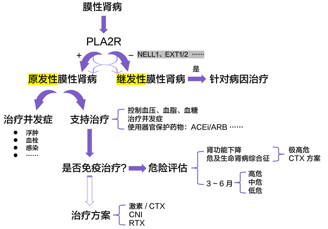 环磷酰胺多少钱图片