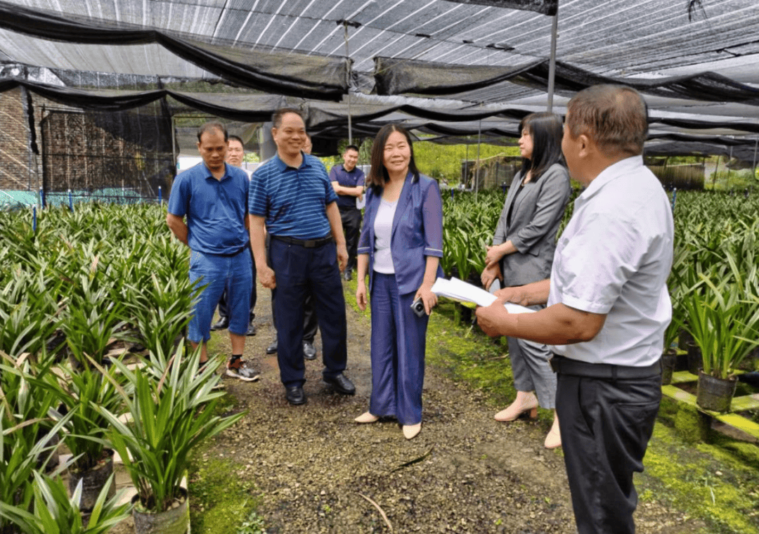 副市长杨焕一行调研英德市卓佳玩具有限公司的"儿童之家"