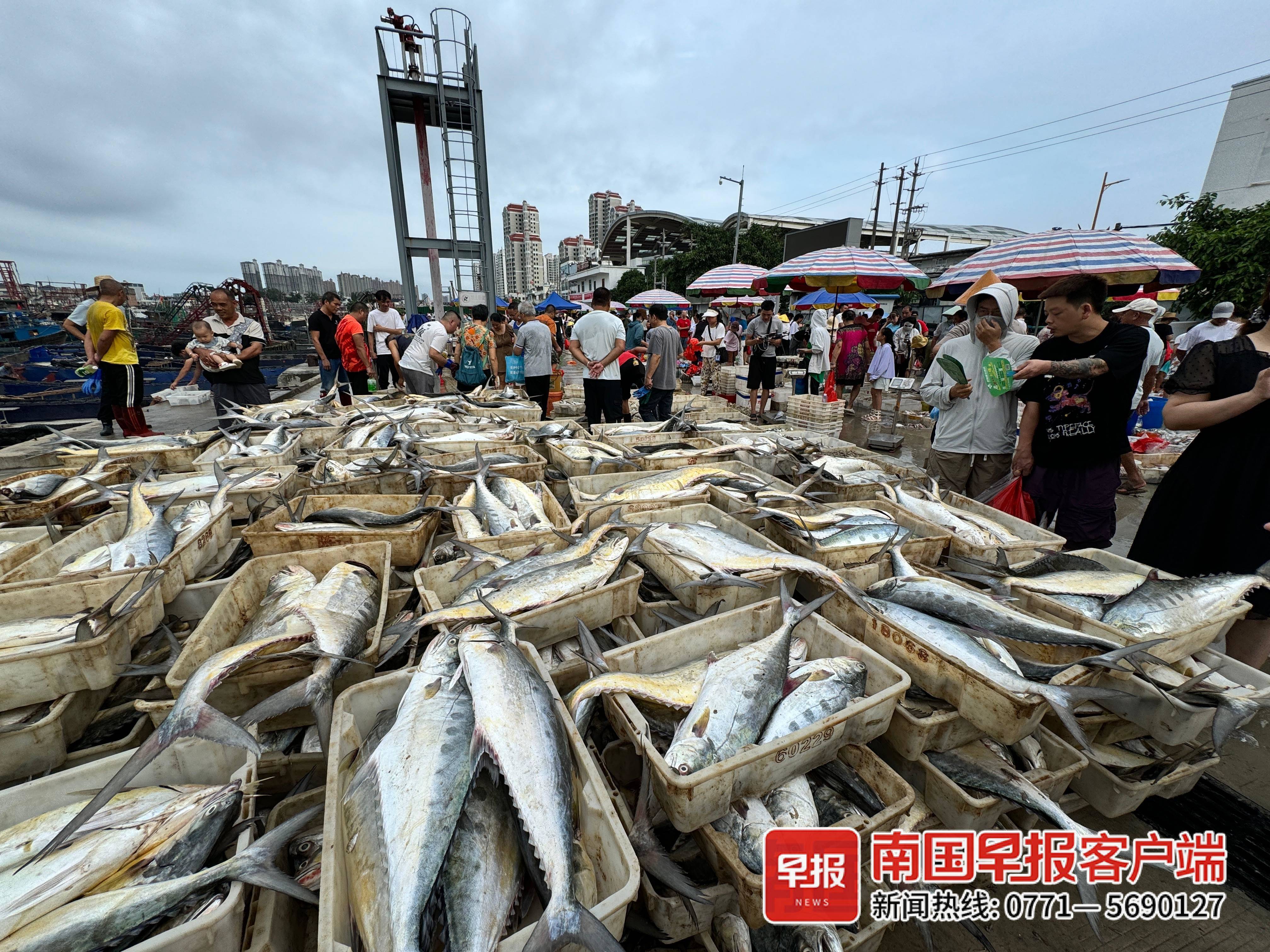 侨港码头海鲜市场图片