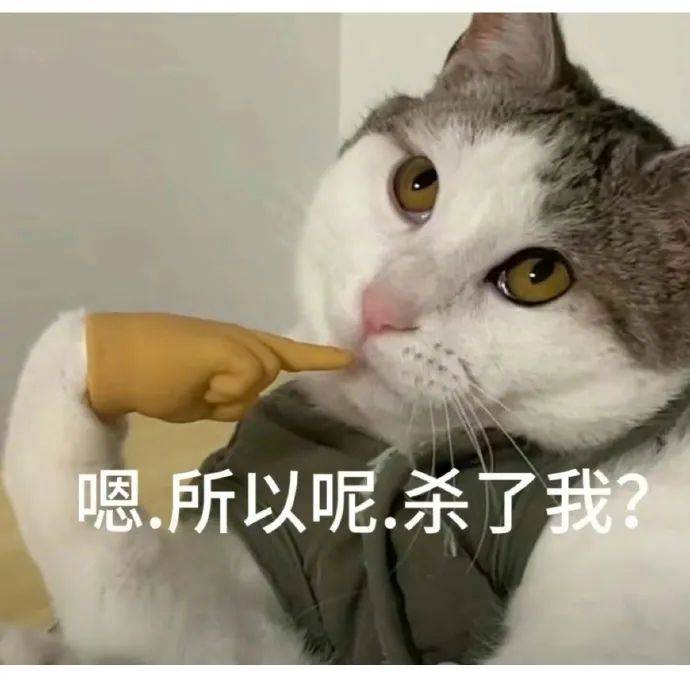 所以呢猫表情包图片