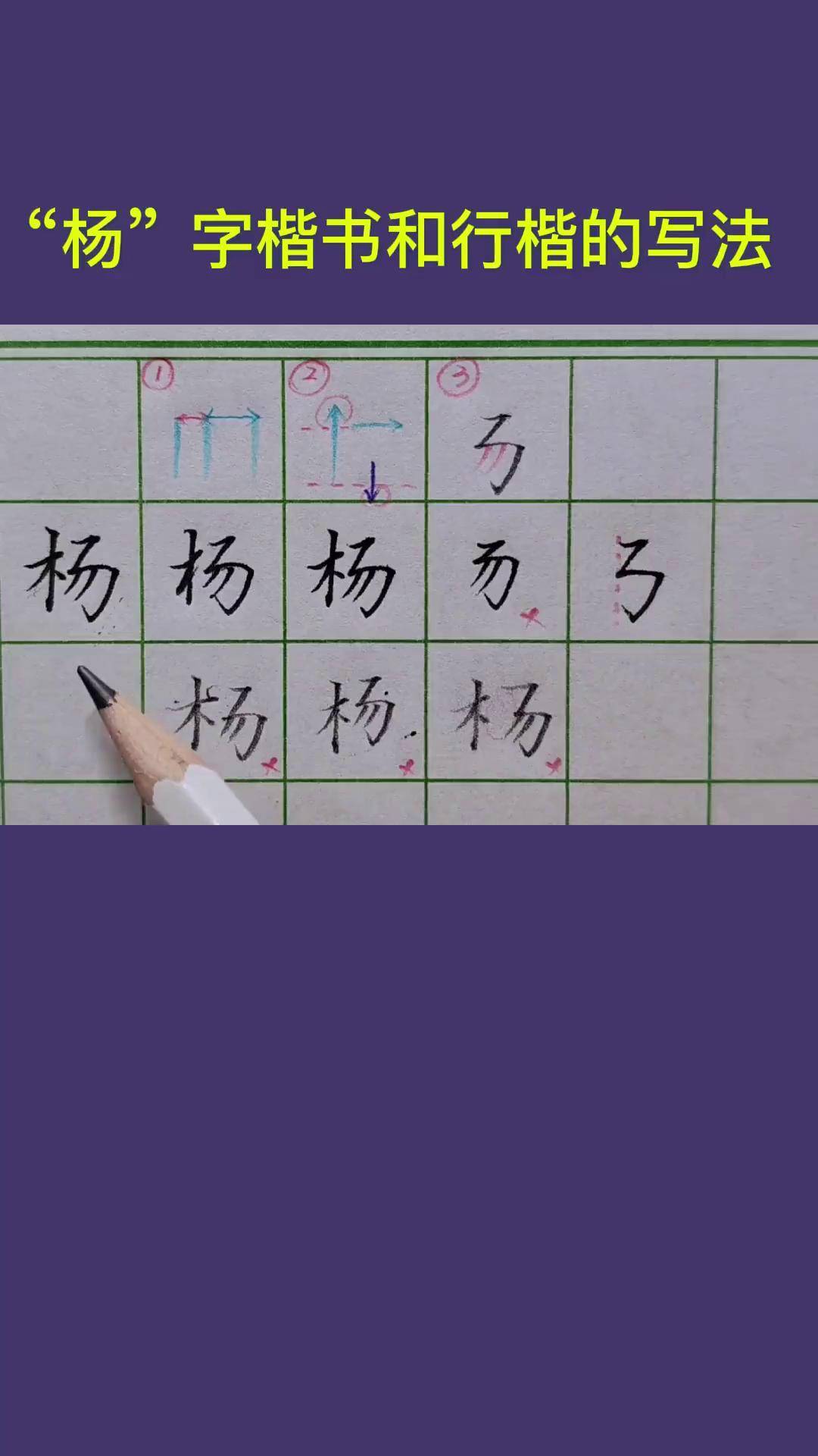 百家姓"杨"字楷书和行楷的写法硬笔书法 书法教程