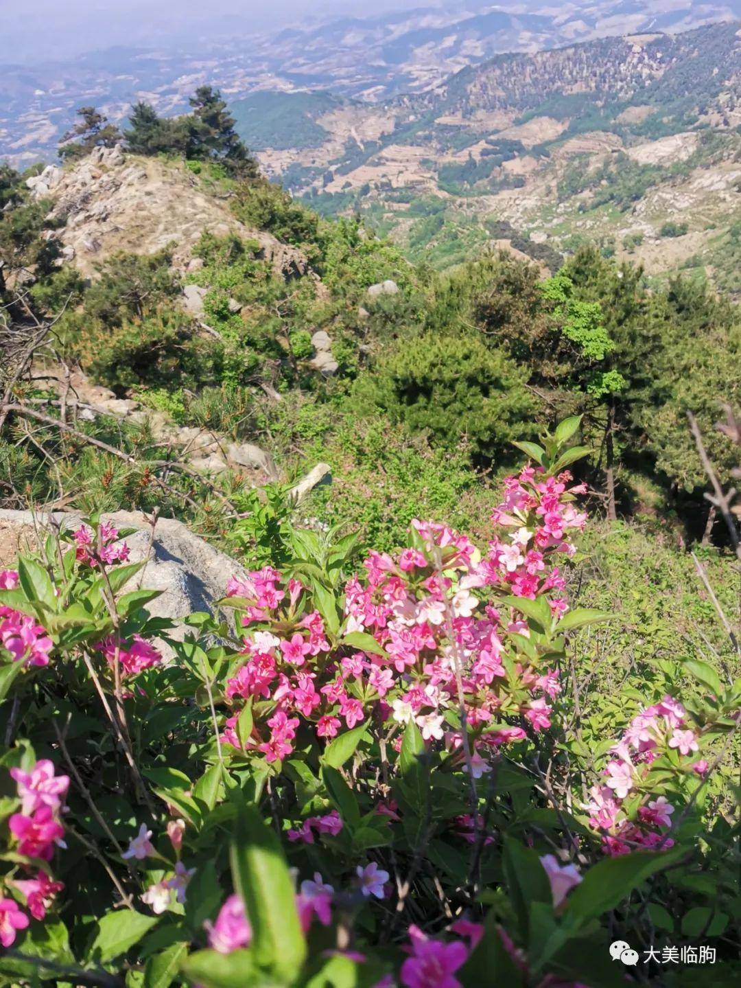 周末潍坊临朐山野露营体验山间悠然生活