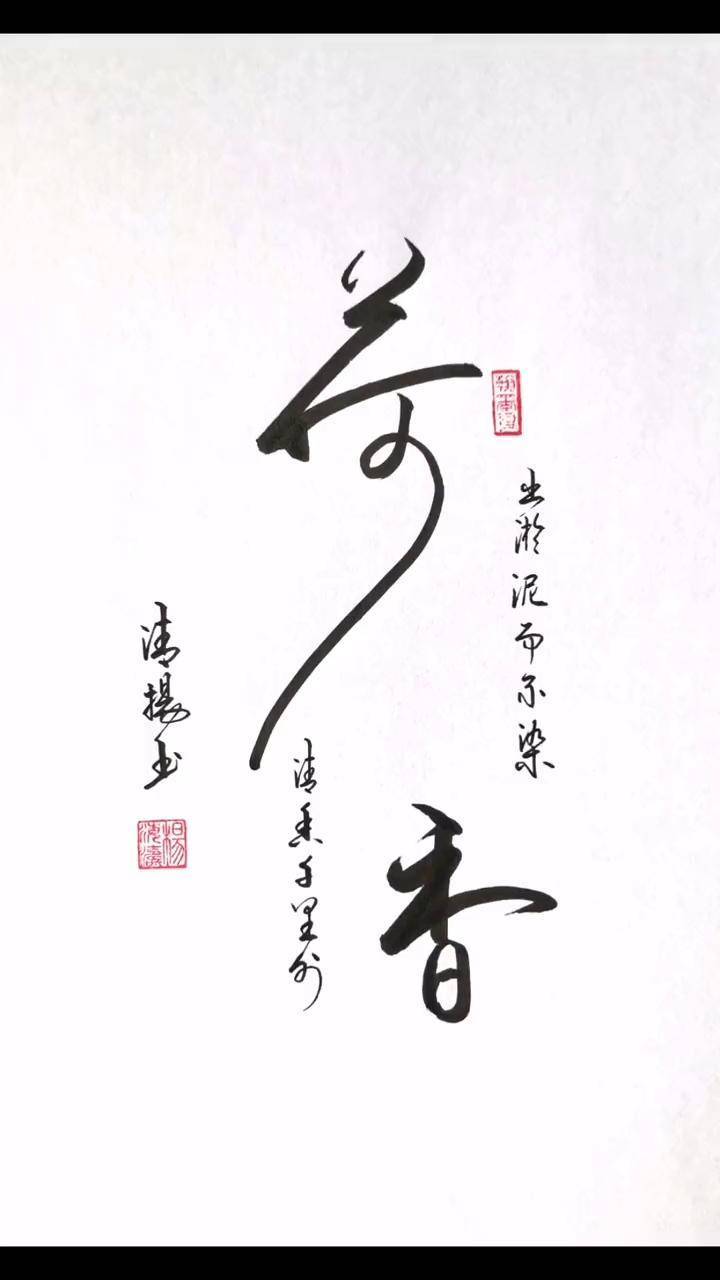 荷香写字是一种生活 练字