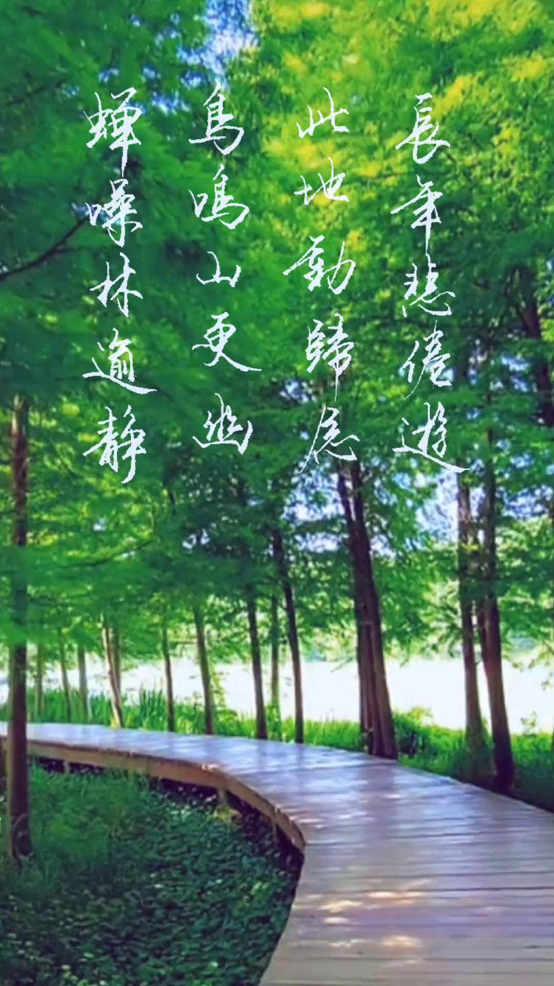 知识分享 传递正能量 聆听大自然 硬笔书法 手写