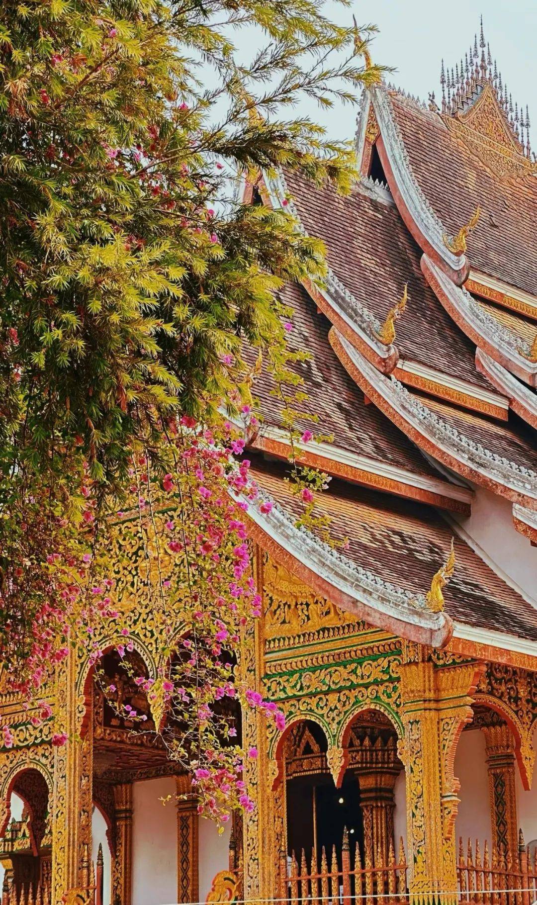 九月带你玩转东南亚小众国家~被称《孤独星球》的国度--老挝!