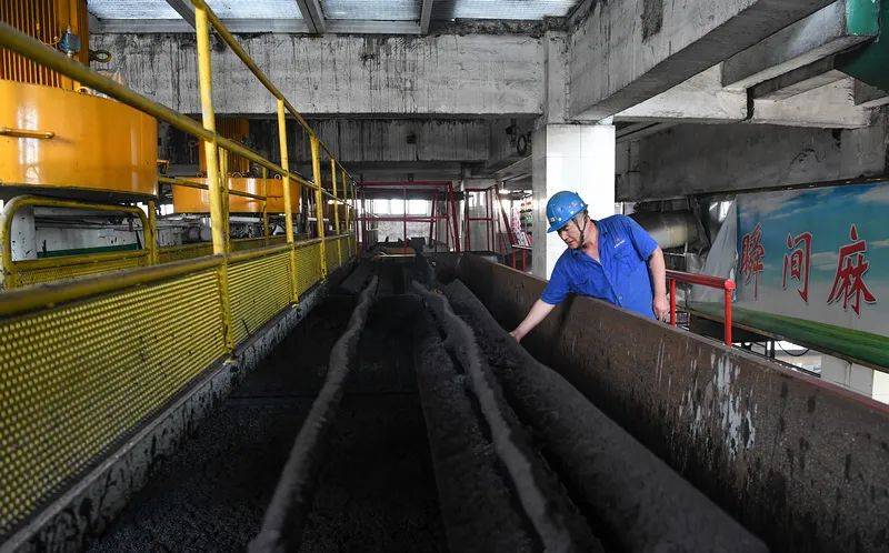 东庞矿实施“去煤泥化”单月增收近140万元_董广印_精煤_灰分