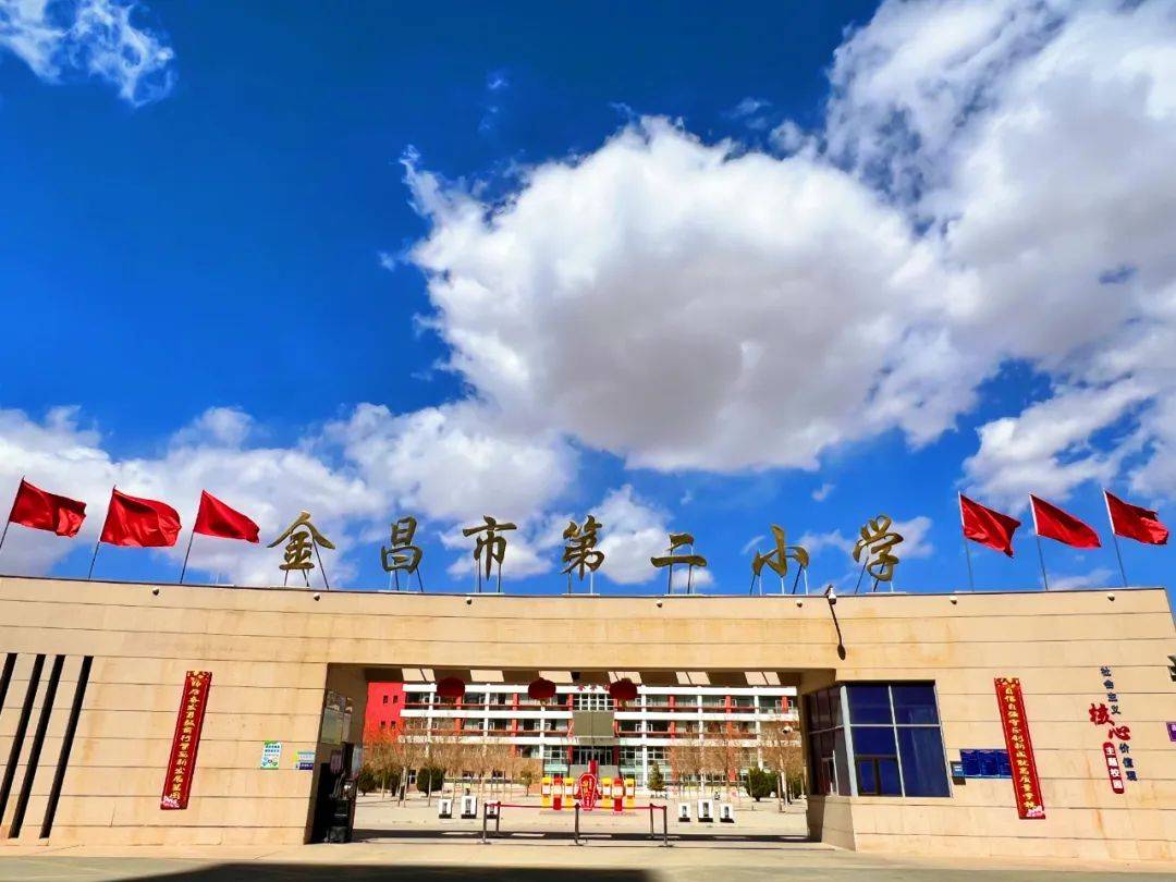 请收藏!金川区各小学"阳光分班"信息汇总