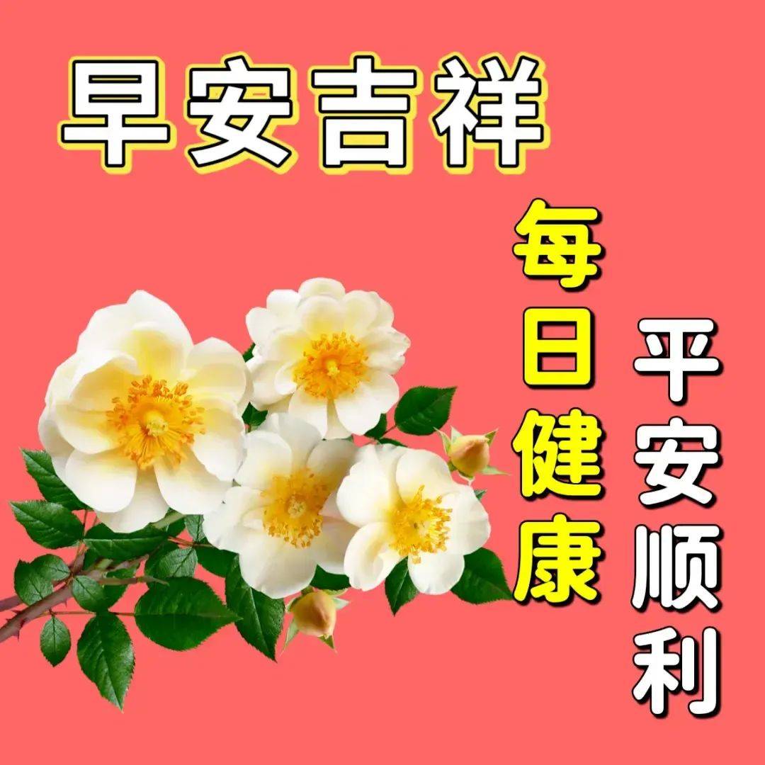 老伴早上好图片图片